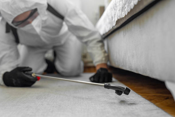 Professional Termite Control technician working in Paramus, NJ