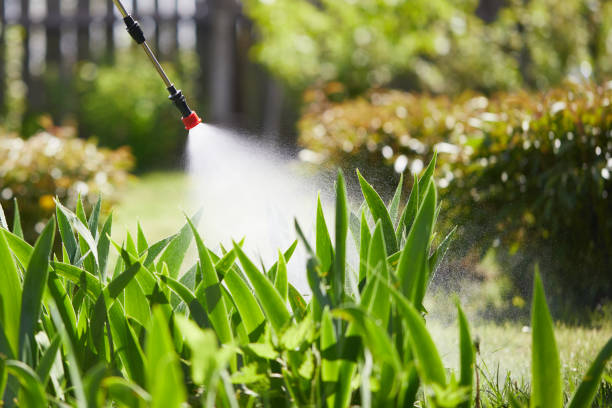 24/7 Emergency Termite Control experts in Paramus, NJ